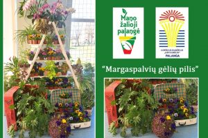 Respublikinis ekologinis konkursas „Žalioji palangė 2022″