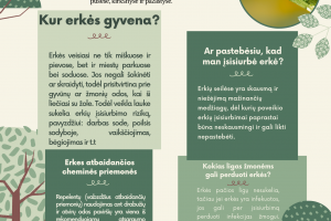Atsargiai, erkės!