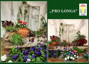Lopšelio-darželio „Gintarėlis“ augalų kompozicija „Pro longa“ – konkurso „Mano žalioji palangė 2023“ laureatė