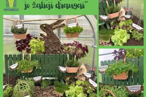 Ekologinio gamtinio konkurso „Žalioji palangė” laureatai